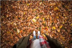 Autumn Leaves