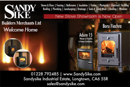 sandy-sikes-ad