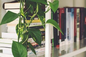 Clear Your Clutter