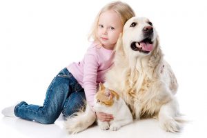 The Advantages Of Neutering Your Pet