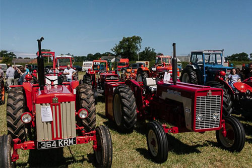 Cumberland Show