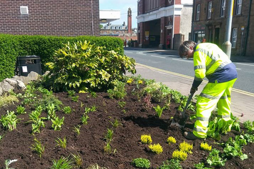 Workington In Bloom Need Volunteers