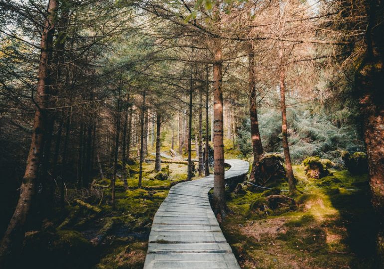 West Cumbria Guide: August/September 2018