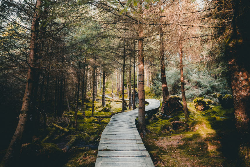 West Cumbria Guide: August/September 2018