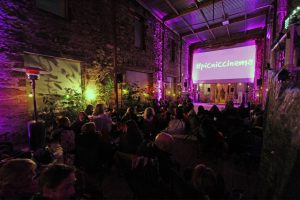 Picnic Cinema Kirklinton Hall