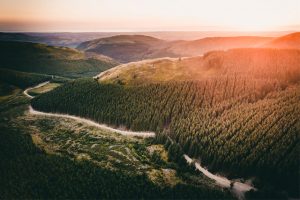 The Wonders of Whinlatter Whinlatter