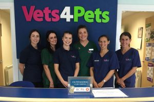 Vets 4 Pets