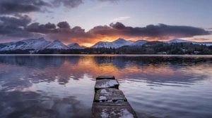 Photographer in Focus: Greg Scholey