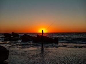 Tight Lines – Tips and news from Cumbria Tackle