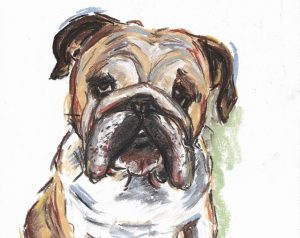 Postmodern Paws – where pets come to life