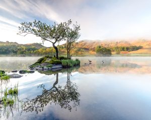 Photographer in Focus – Billy Redden