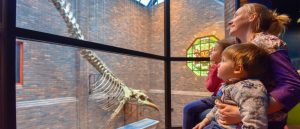 Story of iconic Tullie House whale set to inform whole museum sector