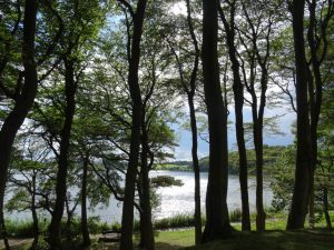 Summers coming to Talkin Tarn