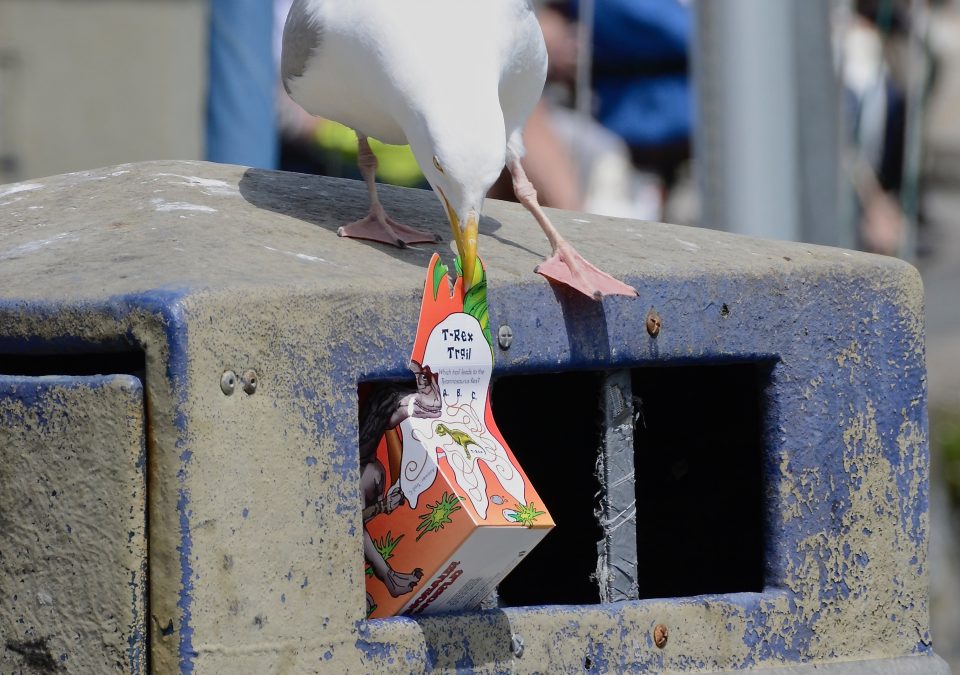 NFL announces   TV as new Sunday Ticket carrier for 2023 - Field Gulls