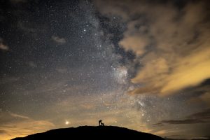Ben Bush – Shooting for the Stars