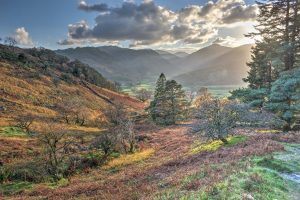 Photographer in Focus – Mark Hewitt