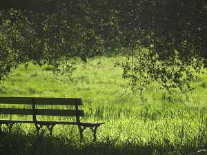 Copeland MP urges constituents to apply for parks funding
