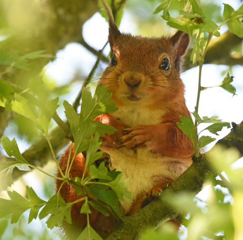 Cumbria Guide | Carrie Calvert - Photographer in Focus | Cumbria Guide