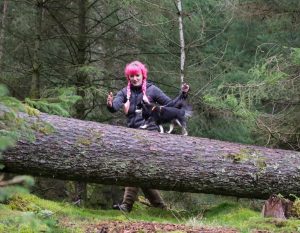 Cumbrian Dog Trainer joins UK’s Dog Parkour Display Team