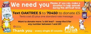 OAK TREE ANIMALS’ CHARITY HELPS IN THE COMMUNITY
