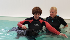 Tutehill K9 Hydrotherapy