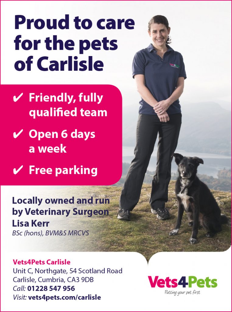 Cumbria Guide Proudly Locally Run Vets For Pets Cumbria Guide
