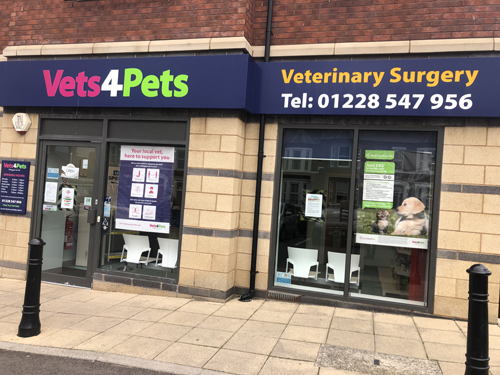 Vets for store pets at home