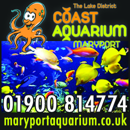 Lake District Coast Aquarium