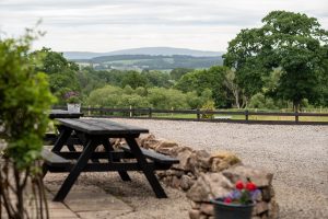 The Plough Inn Wreay – 235 Years in the Making…