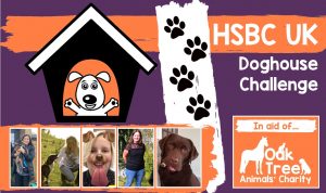 Carlisle’s HSBC UK Bank staff ‘Doghouse Challenge’ to help animals in need Oak Tree Animals Charity
