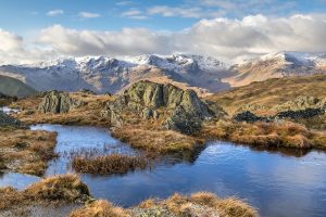 Andrew Locking – Photographer In Focus