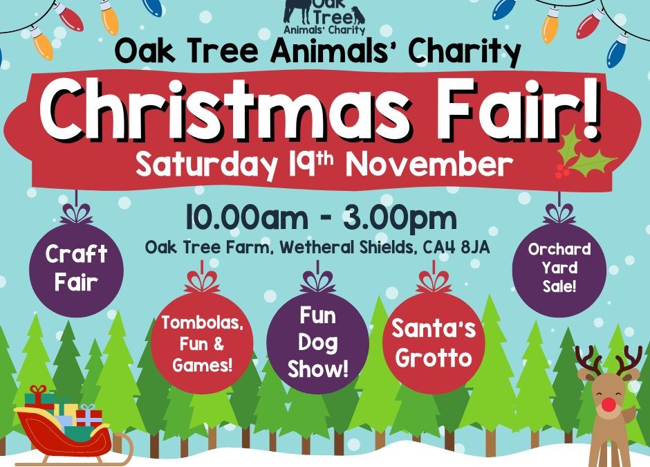 Cumbria Guide FESTIVE FUN AT OAK TREE ANIMALS’ CHARITY CHRISTMAS FAIR