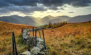 Photographer In Focus – Mark Hetherington