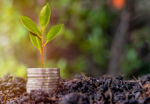 Financial Advice that’s Clear, Fair and Independent