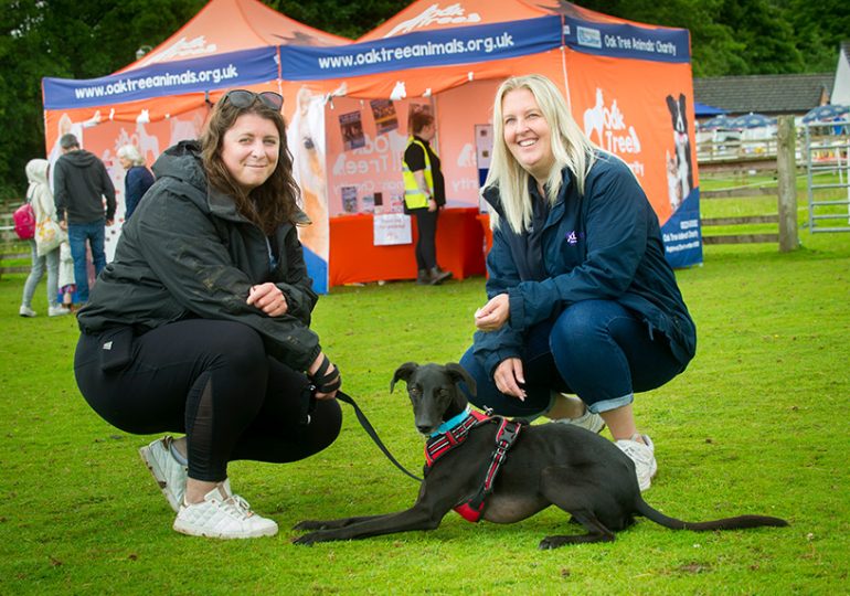 Local fair raises thousands for animal charity