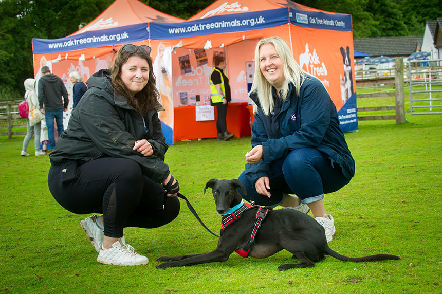 Local fair raises thousands for animal charity