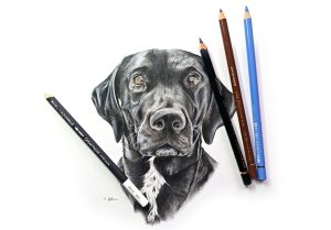 Pet Artist Tim Allison