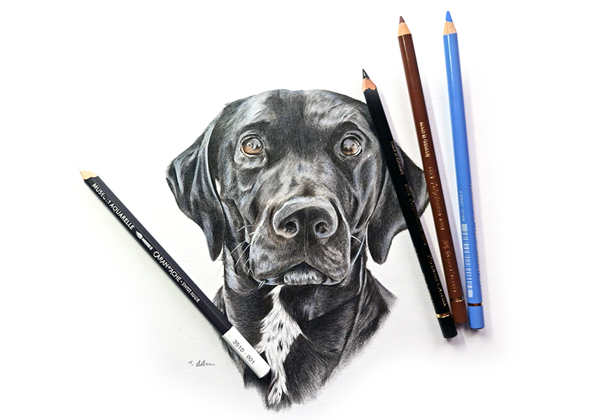 Pet Artist Tim Allison