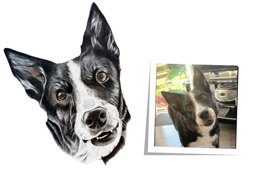 Pet artist Tim Allison
