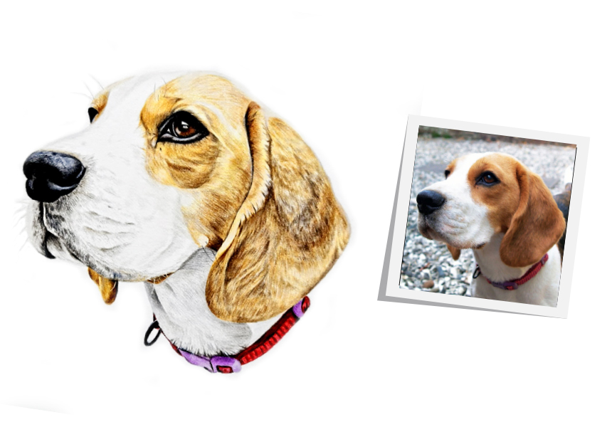 Pet Artist Tim Allison