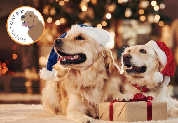 Rusty’s Treatbox - Santa Paws is Coming to Town