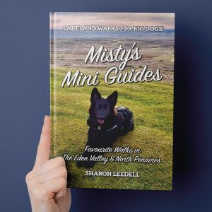 Cumbria Guide | Cumbria Guide Book Club - Jan/Feb 2024 | Cumbria Guide